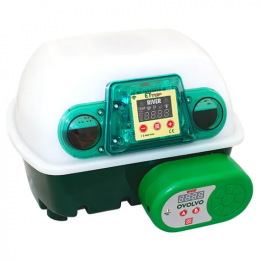 River Systems ET 12 TOP automaattinen