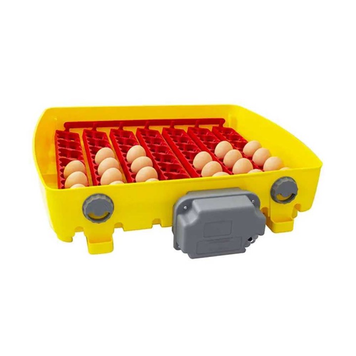 River Systems ET 49 SUPER BIOMASTER automaattinen hautomakone, 49 munaa, 230 V