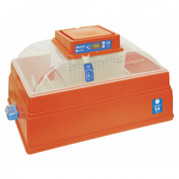 Novital Covatutto 54 Digitale haudontakone 105 W 230 V