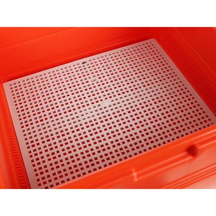Novital Covatutto 54 Digitale -haudontakone, 105 W, 230 V