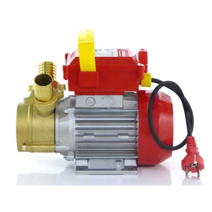 Rover 30 CE sähköpumppu nesteiden siirtoon, pronssi, 1 HP, 230 V
