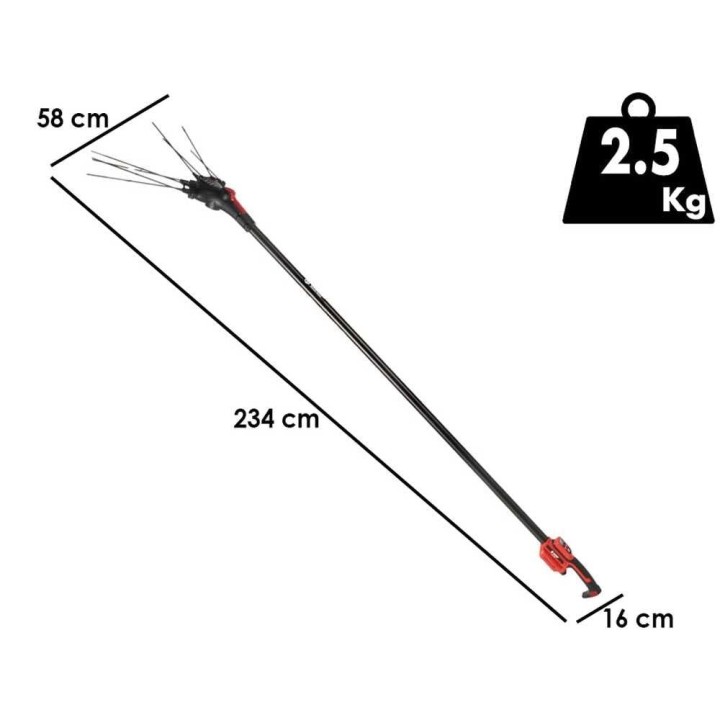 Blue Bird Egeo 23-50 akkukäyttöinen oliivinkorjuukone, 12 V, hiilikuituvarsi