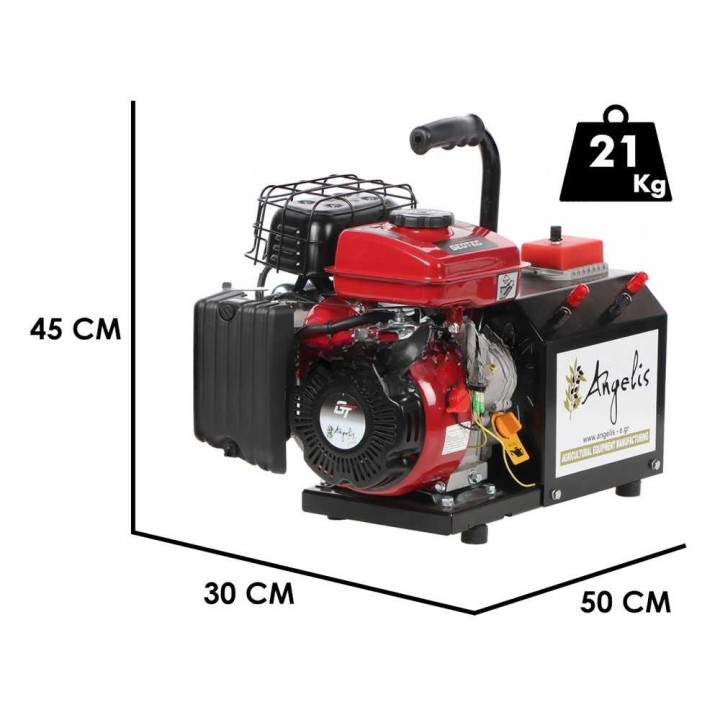 Angelis kannettava virtageneraattori, 1 400 W, 12–22 V, bensiini