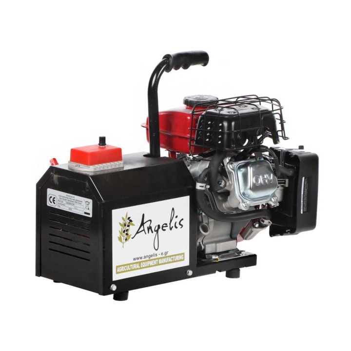 Angelis kannettava virtageneraattori, 1 400 W, 12–22 V, bensiini