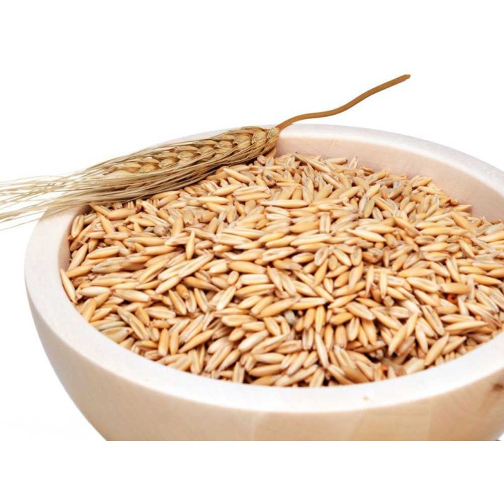 Komo HAND MILL käsikäyttöinen kivimylly, massiivivaahtera, 50 g/min