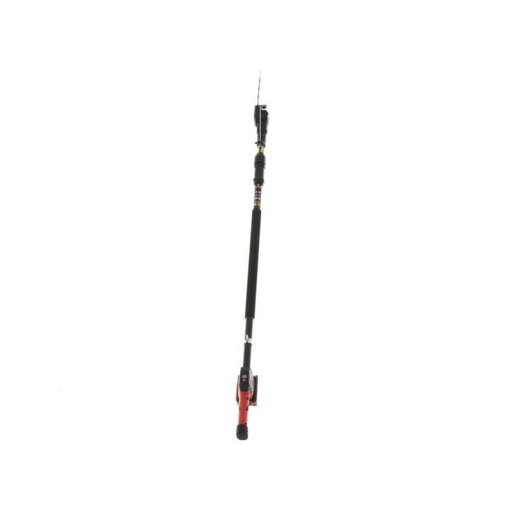 Blue Bird PCS 22-10 akkukäyttöinen teleskooppioksasaha, 450 W, 2 × 21 V 5 Ah