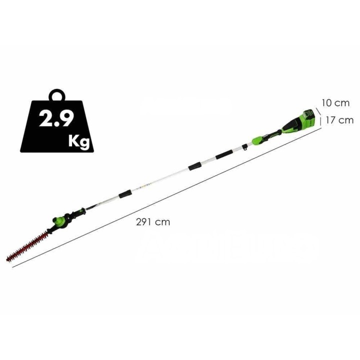 Greenworks GD40PSHK2X akkupensasleikkuri ja oksasaha, 40 V, 2 akkua