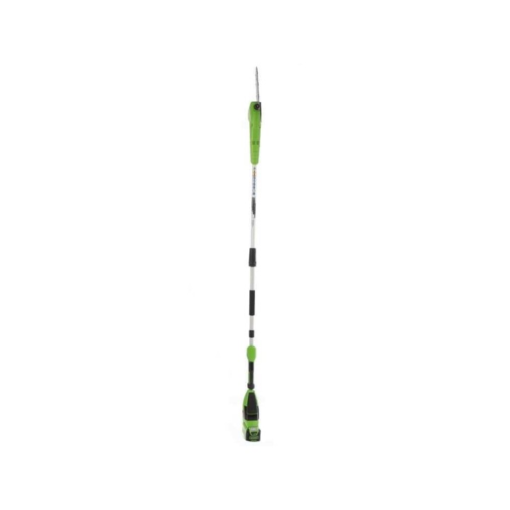 Greenworks GD40PSHK2X akkupensasleikkuri ja oksasaha, 40 V, 2 akkua