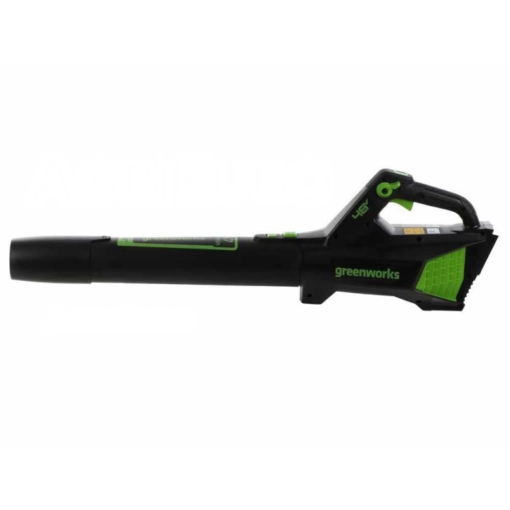 Greenworks GD48AB akkulehtipuhallin, 48 V, 4 Ah