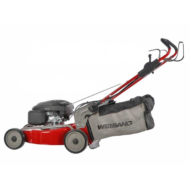 Weibang WB506SC takavetoinen ruohonleikkuri, 166 cm³, 50 cm, 2-in-1