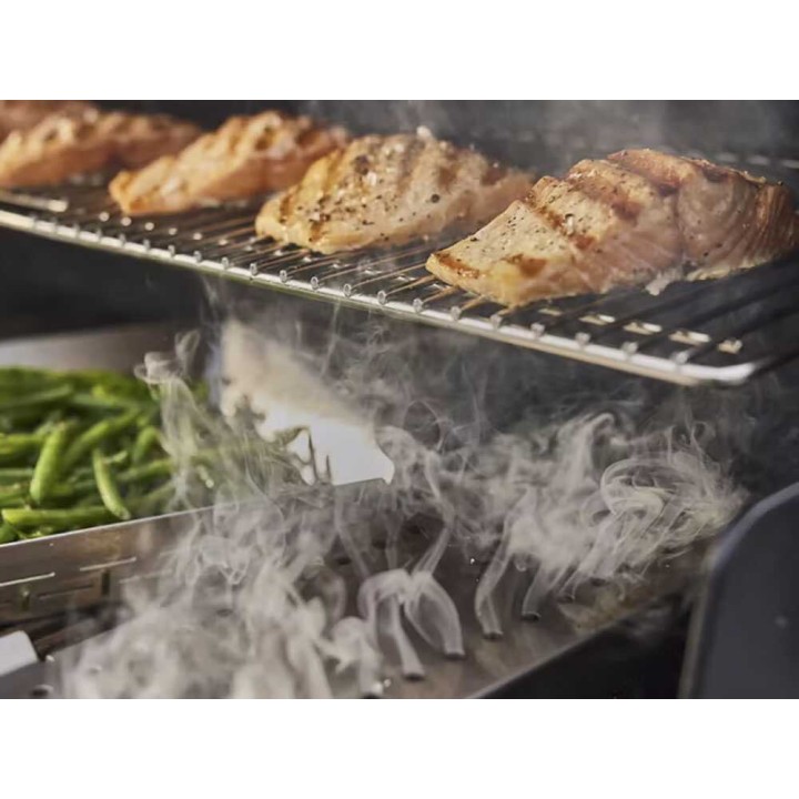 Weber Summit FS38 Black kaasugrilli, 5 poltinta, 19,05 kW
