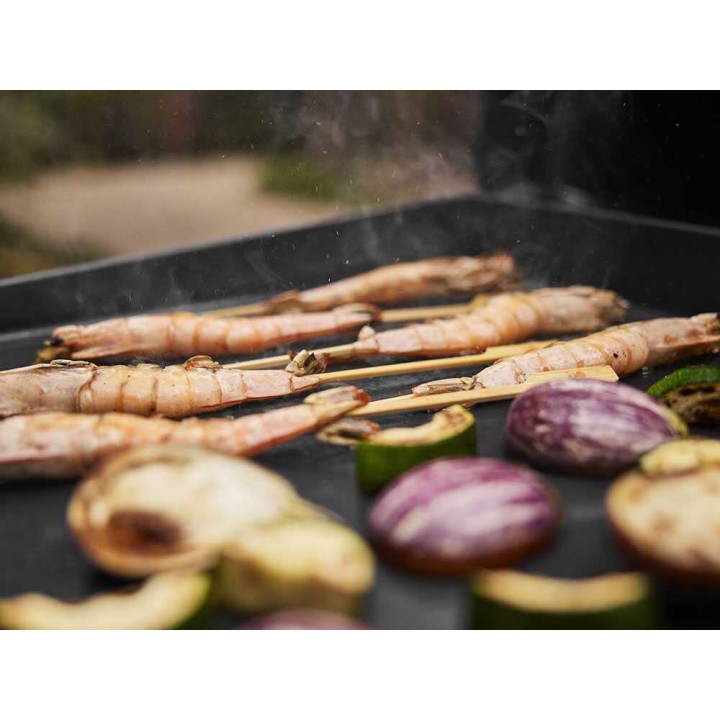 Weber Premium Slate GP 43cm kaasukäyttöinen parila, 3,7 kW