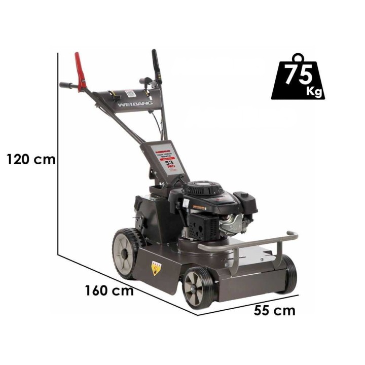 Weibang Conqueror tricheri ruoholeikkuri, Loncin 1P70, 196 cm³, 53 cm