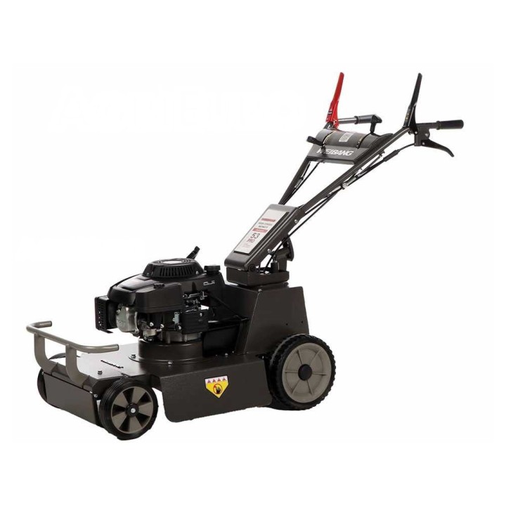 Weibang Conqueror tricheri ruoholeikkuri, Loncin 1P70, 196 cm³, 53 cm