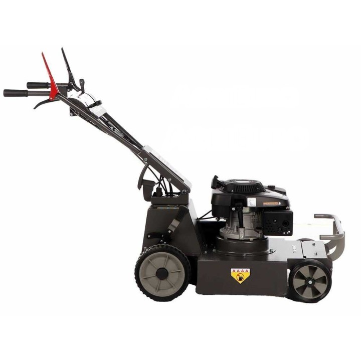 Weibang Conqueror tricheri ruoholeikkuri, Loncin 1P70, 196 cm³, 53 cm