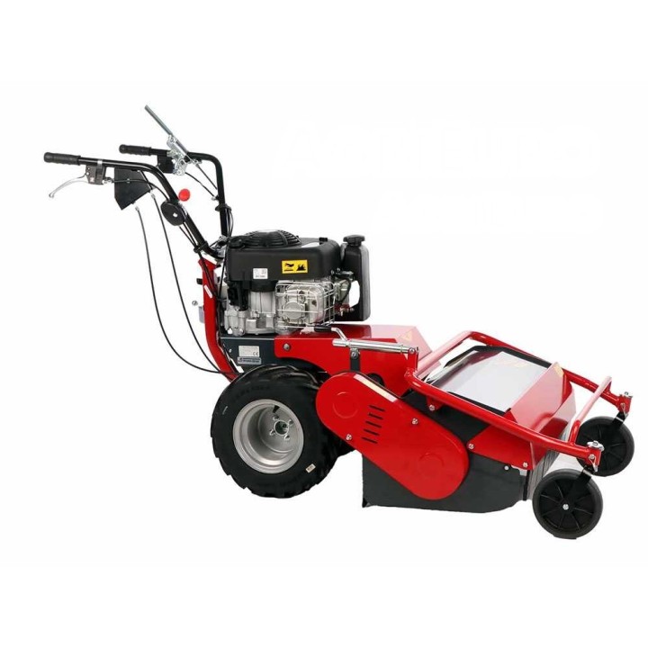 Meccanica Benassi TR 600 Hydro vasaramurskain, Briggs & Stratton 3105E, 60 cm