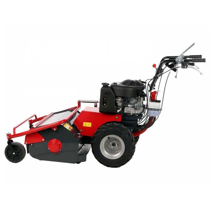 Meccanica Benassi TR 600 Hydro vasaramurskain, Briggs & Stratton 3105E, 60 cm