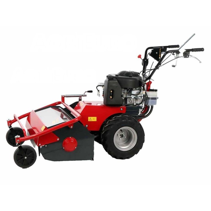 Meccanica Benassi TR 600 Hydro vasaramurskain, Briggs & Stratton 3105E, 60 cm