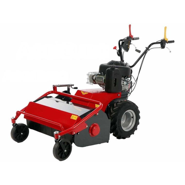 Meccanica Benassi TR 800 vasaramurskain, Briggs & Stratton 3125E, 75 cm