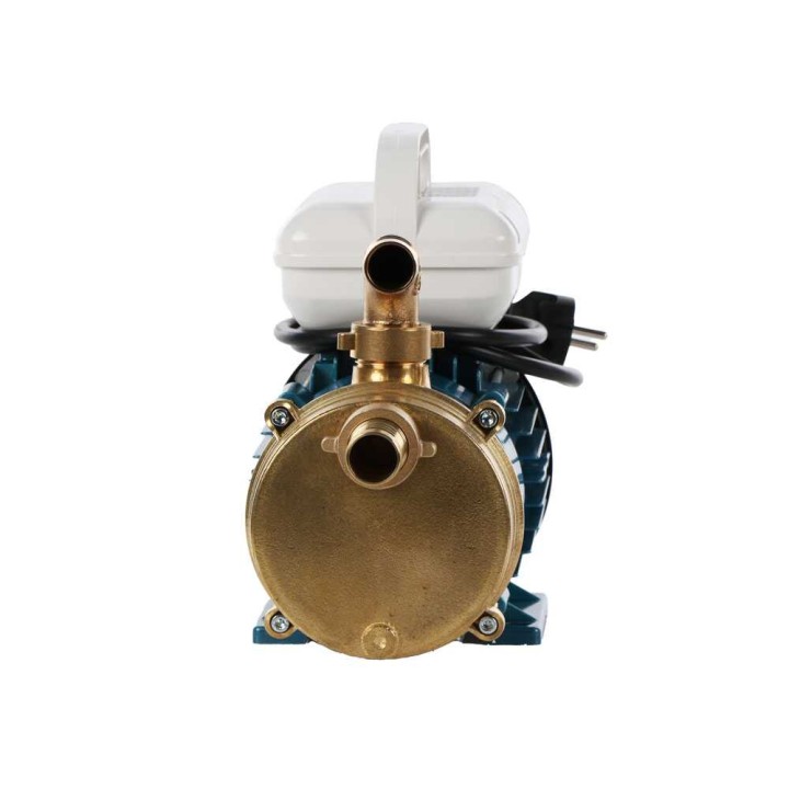 Tellarini EEM 25 sähköinen siirtopumppu, messinki, 50 l/min, 230 V