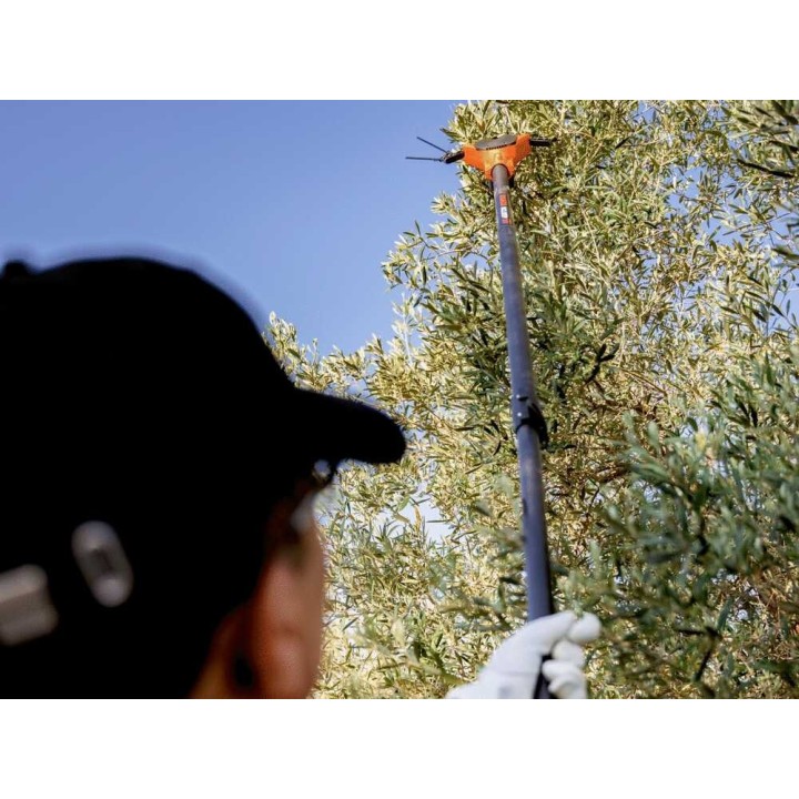 Bahco BCL52TP sähköinen oliivinkerääjä, 36 V, hiilikuituvarsi 216–296 cm