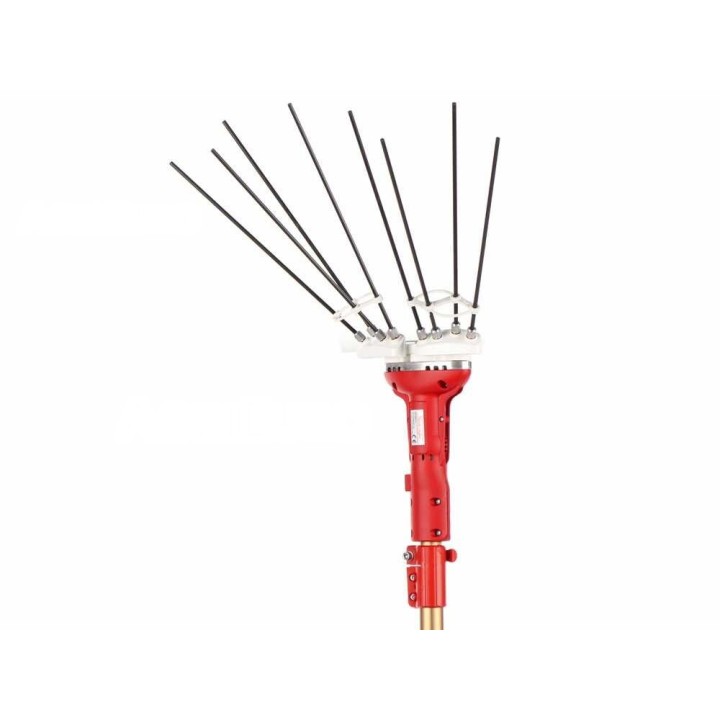 Sbaraglia Super23 Cordless oliivinkorjuulaite, 21 V, teleskooppivarsi 150–250 cm