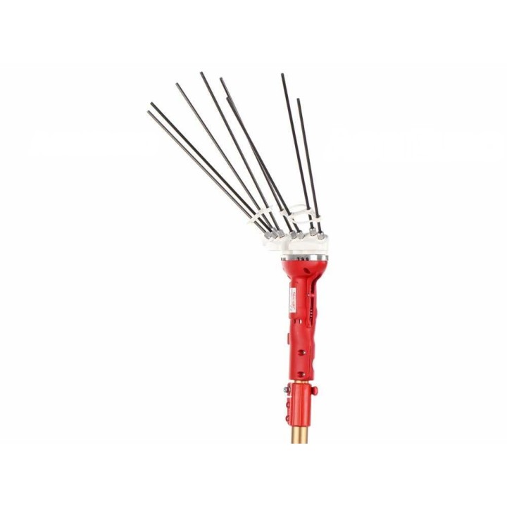 Sbaraglia Super23 Cordless oliivinkorjuulaite, 21 V, teleskooppivarsi 150–250 cm