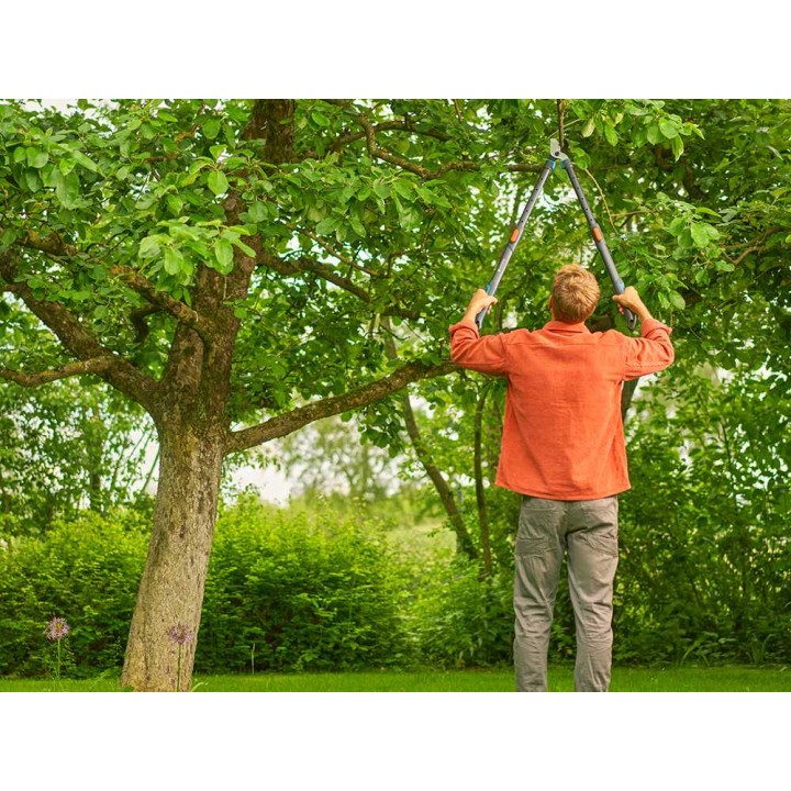 Gardena TeleCut Pro L teleskooppioksaleikkuri, 65–90 cm, 50 mm