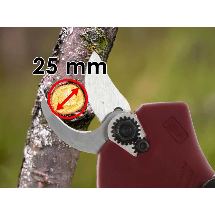 Archman FE04-25 akkukäyttöiset oksasakset, 350 W, 2 × 16,8 V 2 Ah