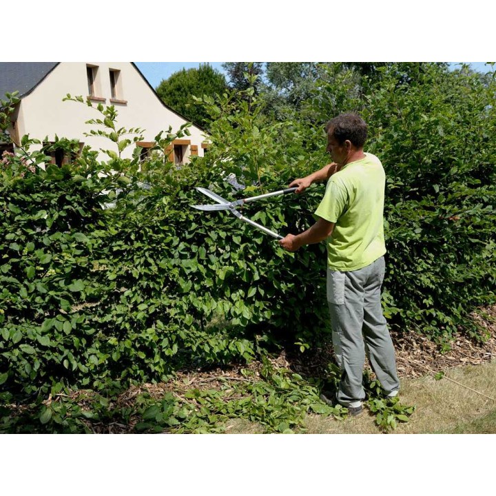 Bahco P51H-SL pitkävartiset oksasakset, 10 mm, 730 cm, 1 kg