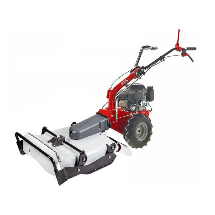 Eurosystems P55 trinciaerba, Loncin 196 cm³, 53 cm