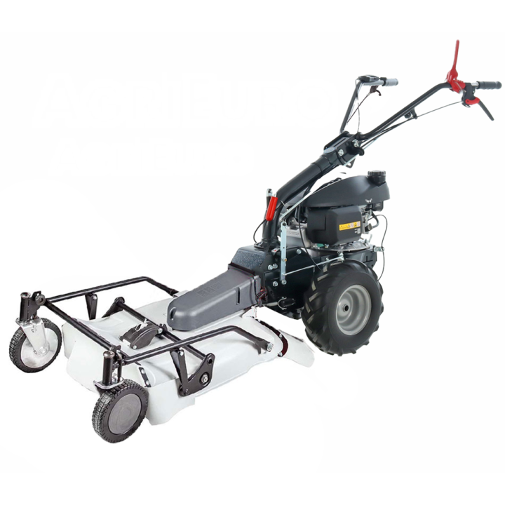 Eurosystems P55 trukkileikkuri Honda GCVX 170 53 cm 5 5 HP
