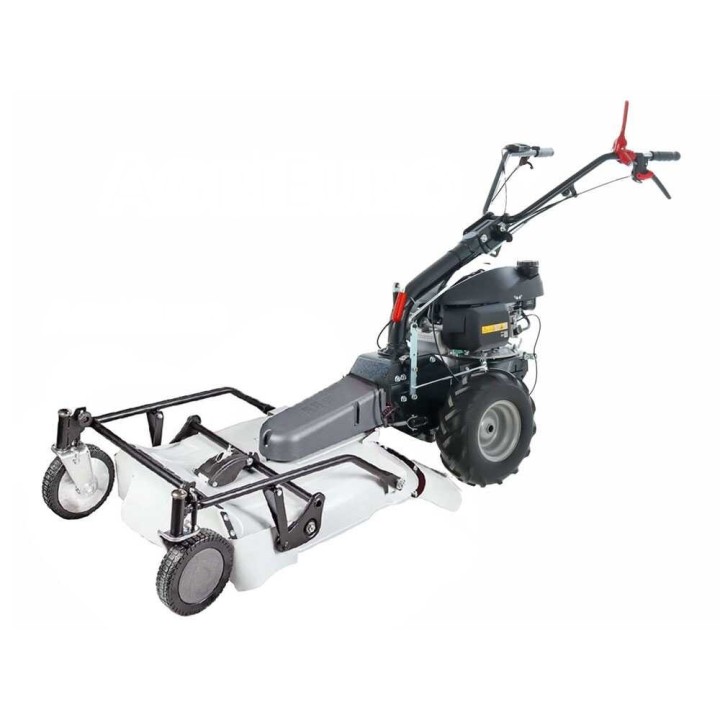 Eurosystems P55 trukkileikkuri Honda GCVX 170, 53 cm, 5,5 HP