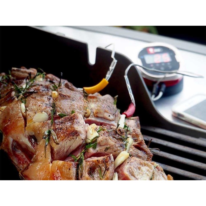 Weber iGrill 2 digitaalinen lämpömittari, 4 anturia, 2 anturia mukana
