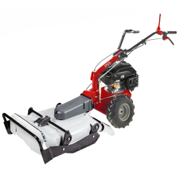 Eurosystems P55 trimmeri Rato RV200 6 5 HP 53 cm