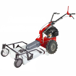 Eurosystems P55 trimmerimurskain Rato RV200 6 5 HP 53 cm