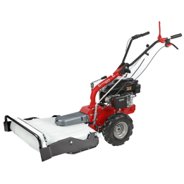 Eurosystems P55 kasvillisuuden murskain Rato RV200 53 cm 6 5 HP