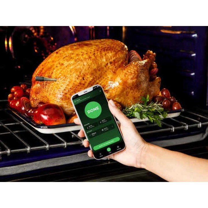 Ninja ProChef WP100EU digitaalinen lämpötila-anturi, 370 °C, Bluetooth 50 m