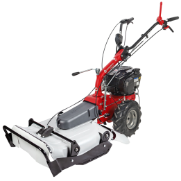 Eurosystems P55 EVO tr riaerba B S 675 iSi 5 5 HP 53 cm