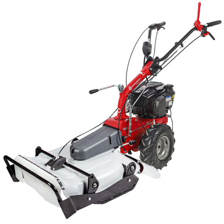 Eurosystems P55 EVO tr riaerba B S 675 iSi 5 5 HP 53 cm