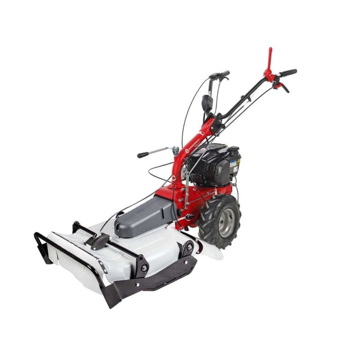 Eurosystems P55 EVO -tr出riaerba, B&S 675 iSi, 5,5 HP, 53 cm