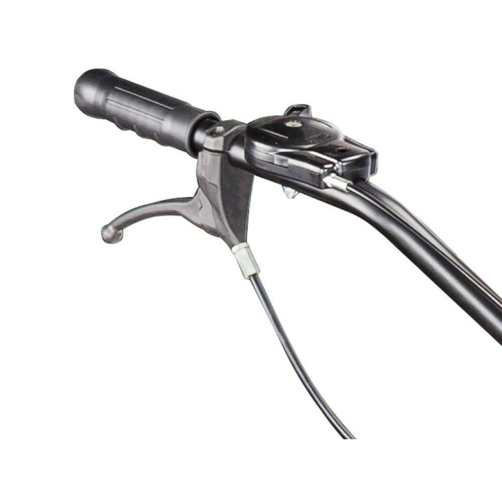 Eurosystems P55 EVO -tr出riaerba, B&S 675 iSi, 5,5 HP, 53 cm