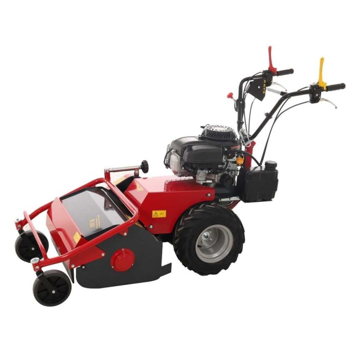 Meccanica Benassi TR 600 vasarateräleikkuri, 13 HP, 60 cm