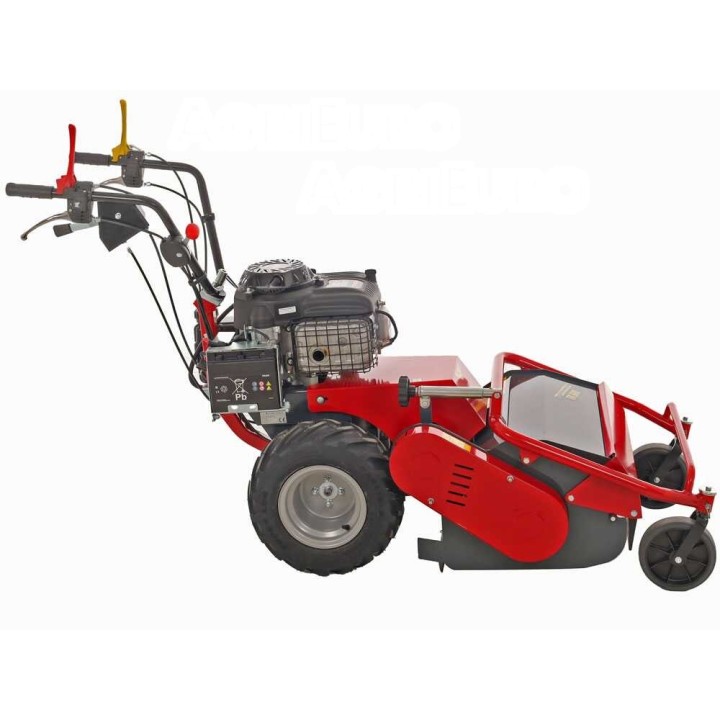Meccanica Benassi TR 600 vasarateräleikkuri, 13 HP, 60 cm