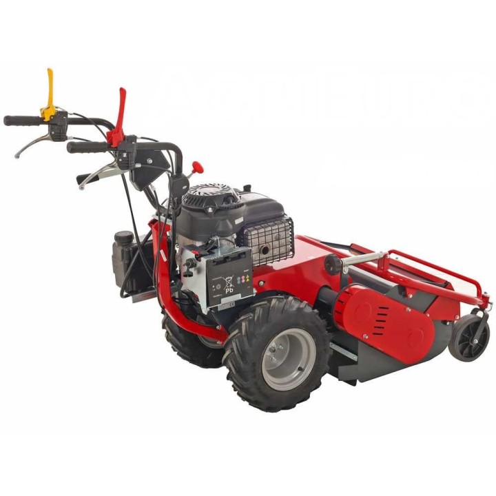 Meccanica Benassi TR 600 vasarateräleikkuri, 13 HP, 60 cm