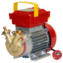 Rover BE M 10 sähköpumppu nesteiden siirtoon pronssi 230 V 0 4 HP