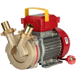 Rover BE M 30 sähköpumppu nesteiden siirtoon pronssinen runko 1 HP 230 V