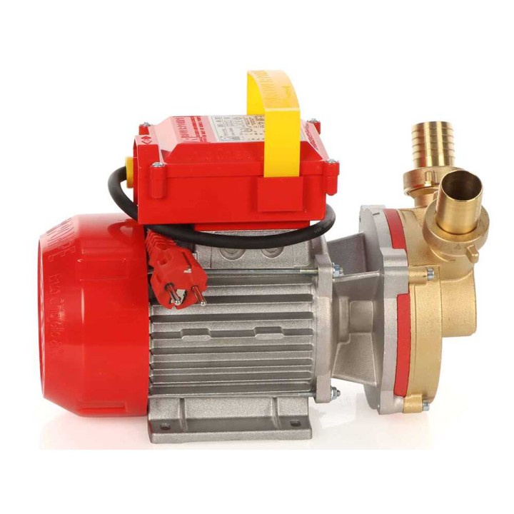 Rover BE-M 30 sähköpumppu nesteiden siirtoon, pronssinen runko, 1 HP, 230 V