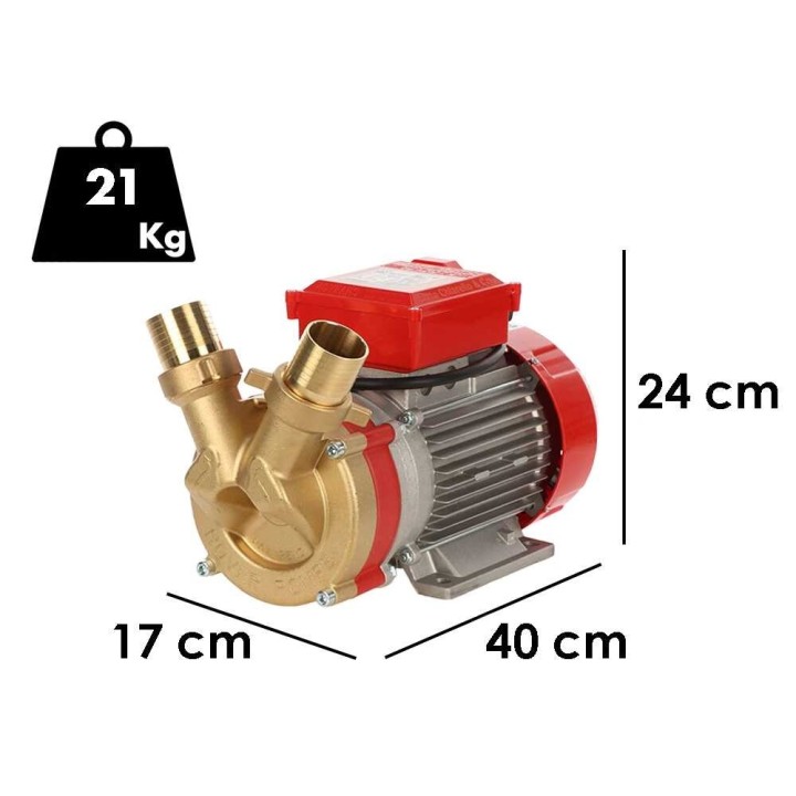 Rover BE-T 50 siirtopumppu pronssia, 3 HP, 400 V, 250 l/min