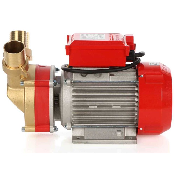Rover BE-T 50 siirtopumppu pronssia, 3 HP, 400 V, 250 l/min